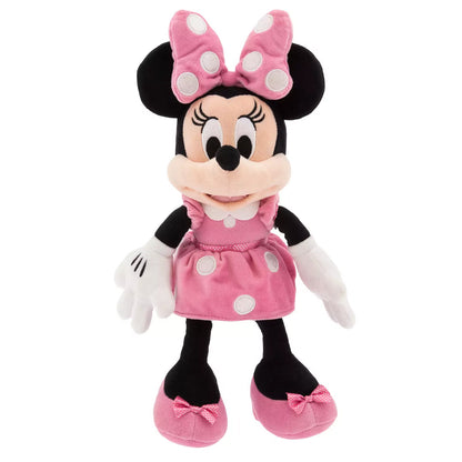 Minnie Gift Basket
