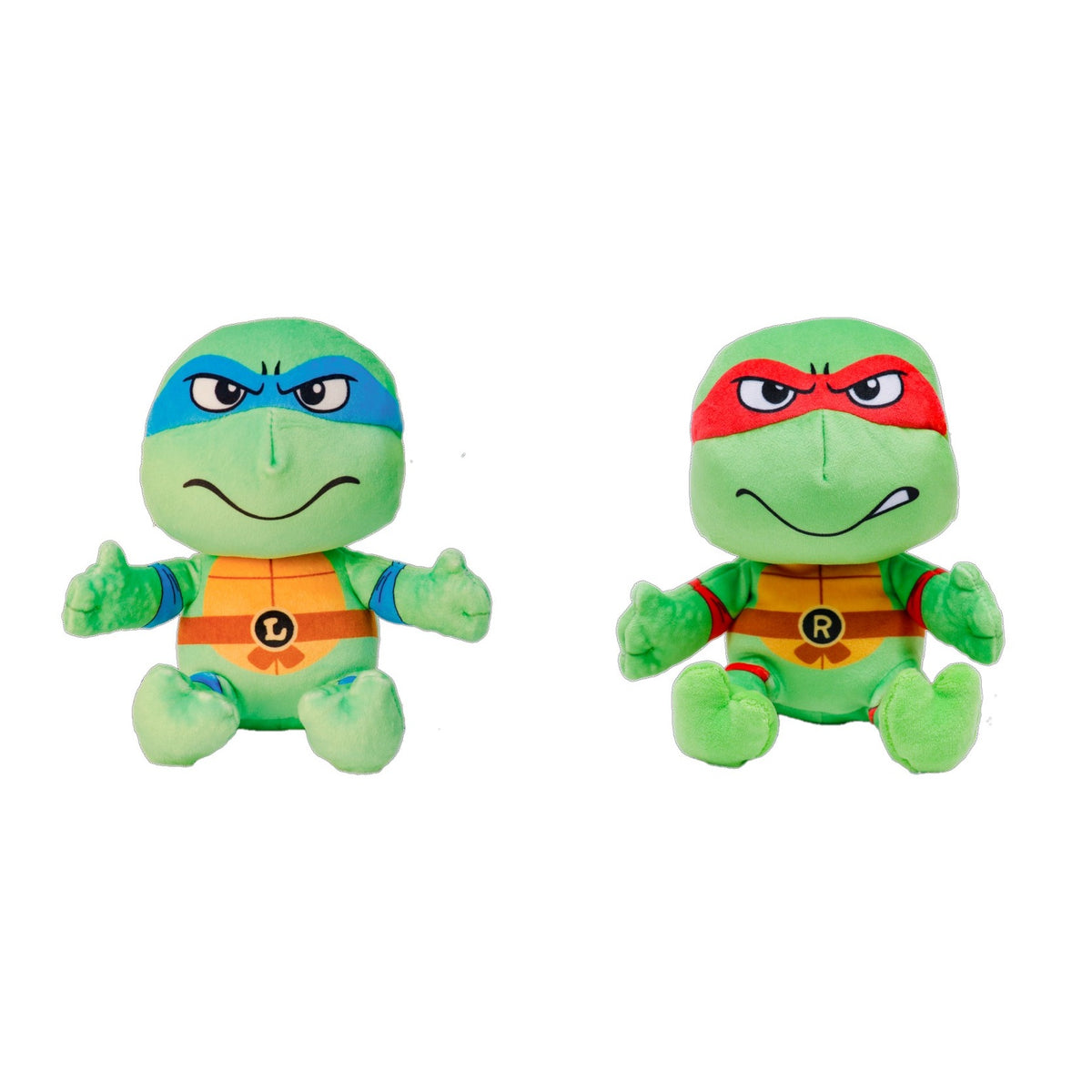 Teenage Mutant Ninja Turtles Gift Basket - Leader Duo